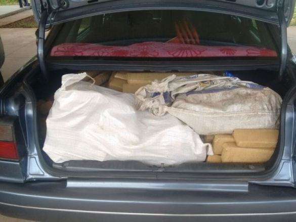 Preso na BR-267, homem receberia R$ 20 mil para transportar 200 kg de maconha