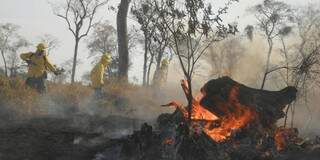  Ibama implanta brigadas de combate à incêndio nas nascentes do Taquari