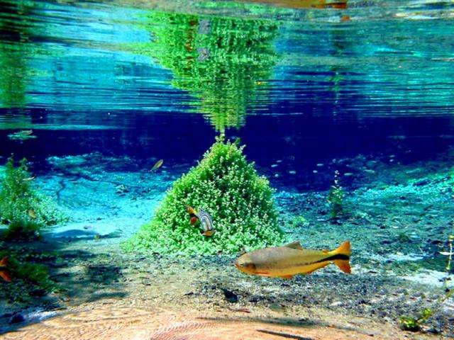 Sem festejos, Bonito comemora 64 anos de emancipa&ccedil;&atilde;o nesta ter&ccedil;a-feira