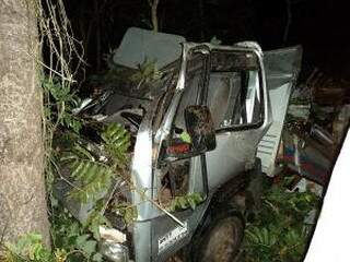 O caminhão só parou após colidir em uma árvore na noite. (Foto Maikon Leal)