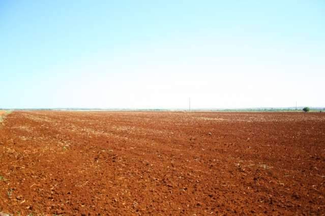 Produ&ccedil;&atilde;o de gr&atilde;os deve superar 14 milh&otilde;es de toneladas e bater recorde