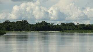 Previsão de cheia no Pantanal reforça a necessidade de decreto de emergência (foto: Lucimar Couto)