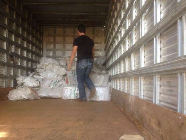 Pol&iacute;cia incinera 22 toneladas de drogas amanh&atilde; em Amambai