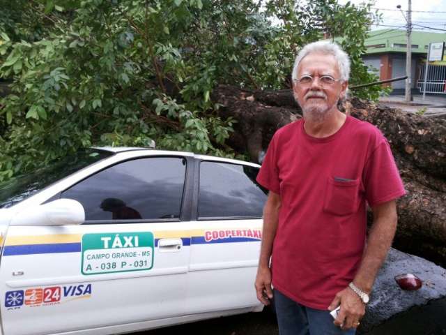 &Aacute;rvore de 20m cai e por pouco n&atilde;o atinge taxista que lia dentro do carro