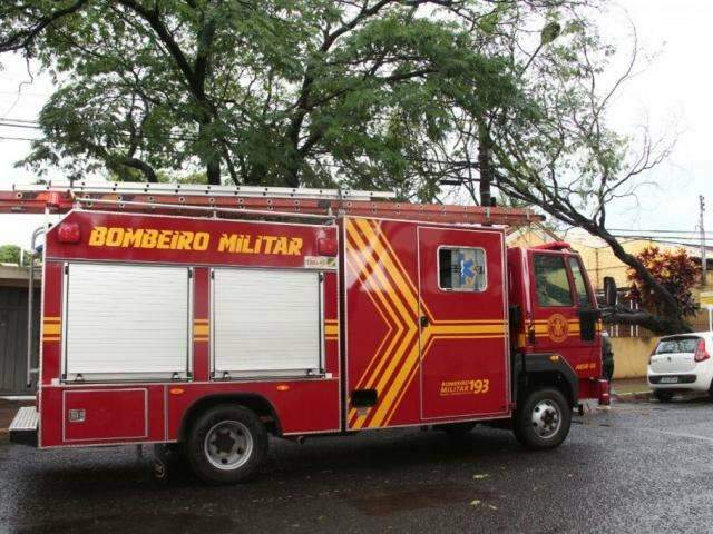 &Aacute;rvore &eacute; arrancada pela raiz e danifica restaurante durante chuva forte