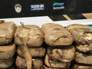 Pacotes de cocaína fisgados por pescadores em lagoa de fazenda em Porto Murtinho (Foto: Porã News)