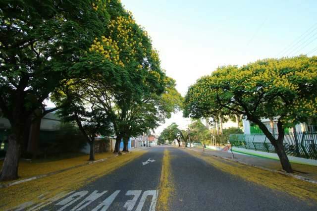 Sem mudan&ccedil;as no tempo, quinta-feira ser&aacute; de clima seco e m&aacute;xima de 39&ordm;C