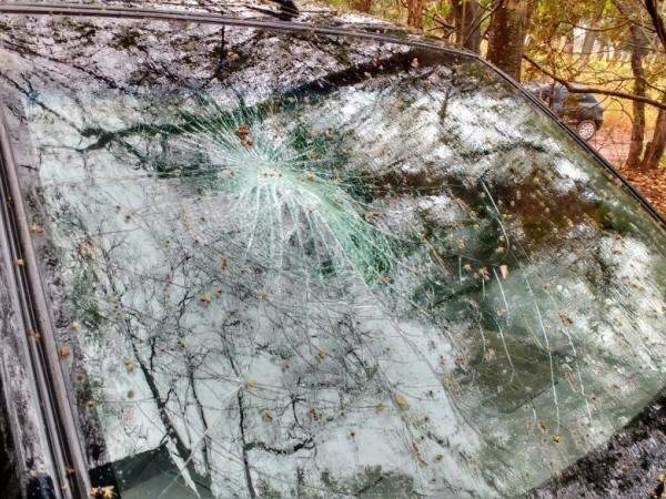 Empres&aacute;ria 'apaga' ao volante, bate carro em &aacute;rvore e filha fica ferida