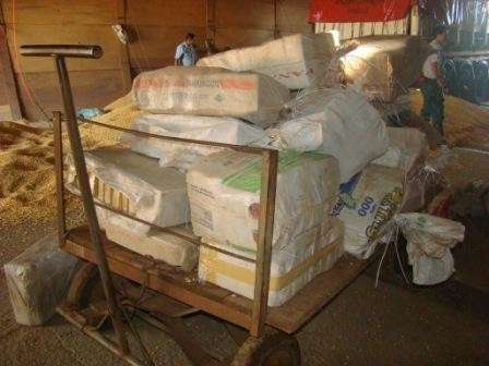 Em 2012, PM apreendeu 61 toneladas de maconha no interior do Estado