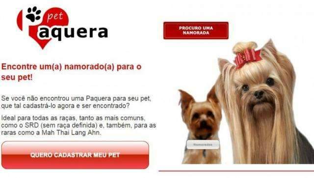 Na internet, Pet Paquera re&uacute;ne fotos de c&atilde;es a fim de &quot;namoro sem compromisso&quot;