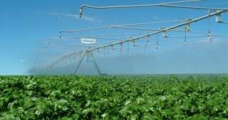 Subestação de energia elétrica vai viabilizar irrigação de lavouras (Foto: Canal do Produtor)