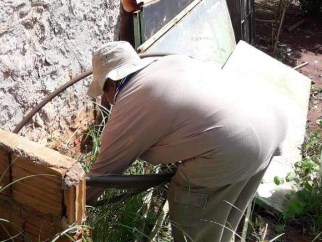 Opera&ccedil;&atilde;o contra mosquito elimina 3,4 mil dep&oacute;sitos de &aacute;gua nas Moreninhas