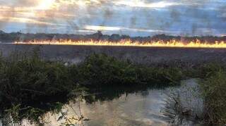 Fogo atingiu vegetação às margens do rio Formoso, em Bonito. (Foto: Divulgação)