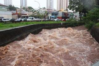 Córrego Prosa subiu com a chuva, mas não transbordou (Foto: Fernando Antunes)