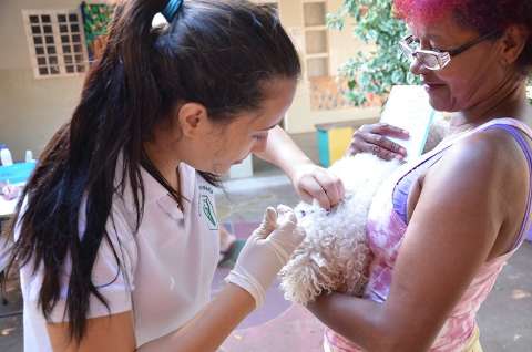 Em dois dias de campanha contra raiva, mais de 4 mil cães são imunizados