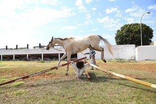 &quot;O cavalo é um animal que dá satisfação para a gente montar. Só você montando para ter essa satisfação&quot;, explica. (Foto: Fernando Antunes)