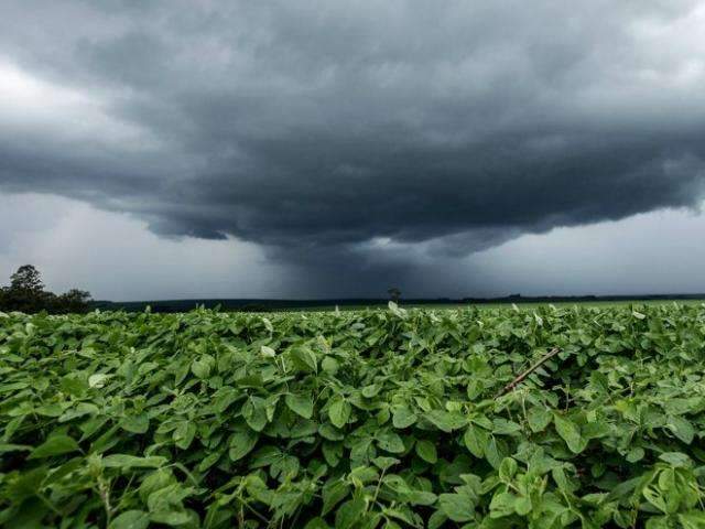 Aplicativo vai mostrar previs&atilde;o imediata de chuvas para agricultores