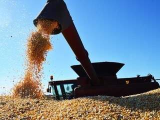 Colheita de milho está mais rápida neste ano que em 2016
