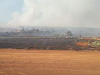 Foi possível ver de longe fumaça provocada por incêndio às margens da BR-163 (Foto: Direto das Ruas) 