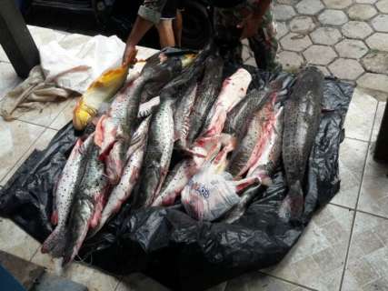 Pescadores são flagrados com 255 kg de peixes e multados em R$ 11,8 mil