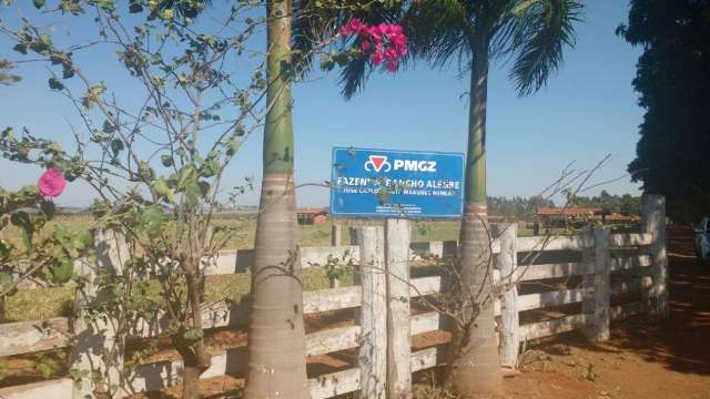 Ap&oacute;s temporada em Campo Grande, Bumlai vai a SP para tratamento