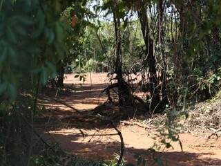 Área desmatada no Parque dos Poderes fica ao lado do prédio do TJMS (Tribunal de Justiça de Mato Grosso do Sul) (Foto: Paulo Francis)