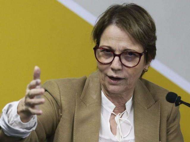 Tereza volta a ser exonerada para votar reforma da previd&ecirc;ncia