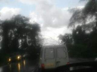 Chuva e queda de árvore dificultaram o trânsito na chegada à cidade (Foto: Direto das Ruas)