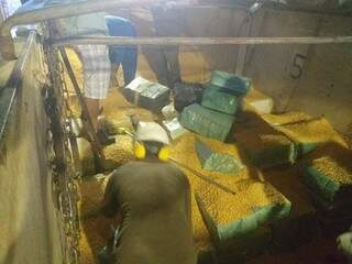 Tabletes de maconha estavam escondidos em meio a grãos de milho. (Foto: Divulgação/Polícia Civil/ReproduçãoCapitanBado) 