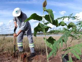 Trabalhador realiza plantio de mudas no entorno do reservatório do córrego Guariroba. (Foto: Divulgação)