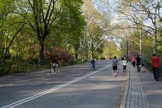 Se for a Nova York fora do período de inverno, o Central Park é lugar perfeito para passear, correr, fazer caminhas e conhecer pessoas