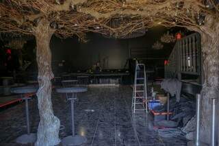 Aparentemente, árvore dentro do salão faz parte da decoração que será toda iluminada. (Henrique Kawaminami)