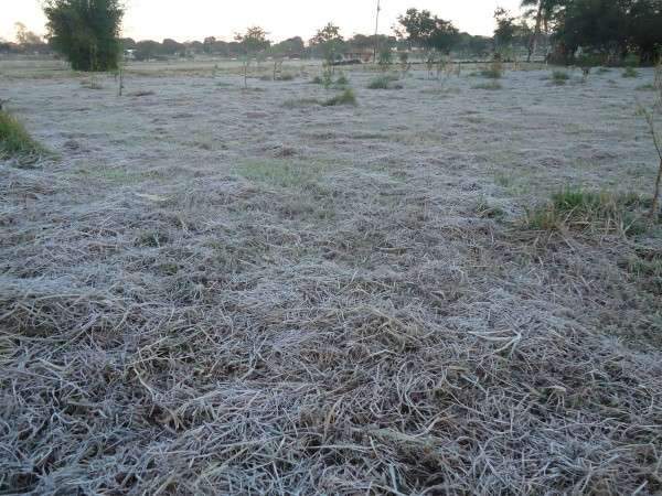 MS tem mínima de -2,5º C, temperatura mais baixa na história para agosto