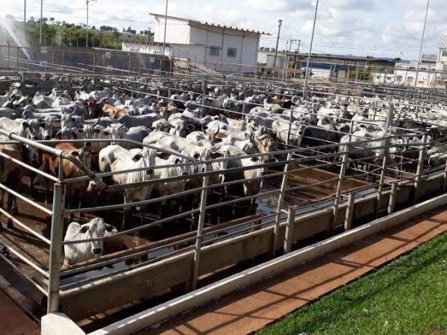 Justi&ccedil;a determina desapropria&ccedil;&atilde;o de frigor&iacute;fico que era da JBS