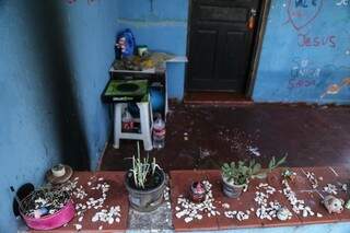 A varanda decorada com plantas e objetos da rua. (Foto: Alcides Neto)