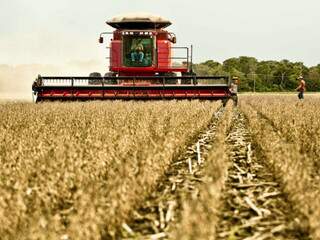 Levantamento de soja e milho percorre Mato Grosso do Sul e outros 12 estados. (Foto: Divulgação)