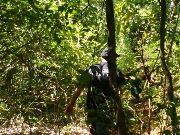 Pol&iacute;cia encontra corpo de homem desovado na cachoeira do C&eacute;uzinho