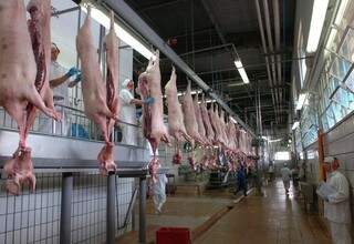 Estado vendeu 1,035 mil toneladas de carne suína em março. (Foto: Divulgação)