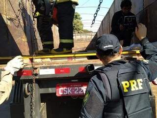 Policiais rodoviários federais observam fundo falso de carreta onde estavam tabletes de maconha (Foto: Adilson Domingos)
