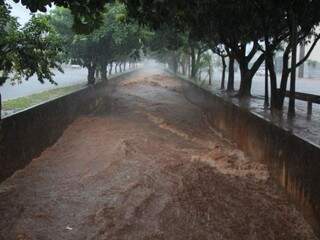 Córrego Prosa está cheio na avenida. (Foto: Mariana Pacheco)