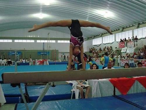Funesp realiza atividade para buscar novos talentos da gin&aacute;stica art&iacute;stica 