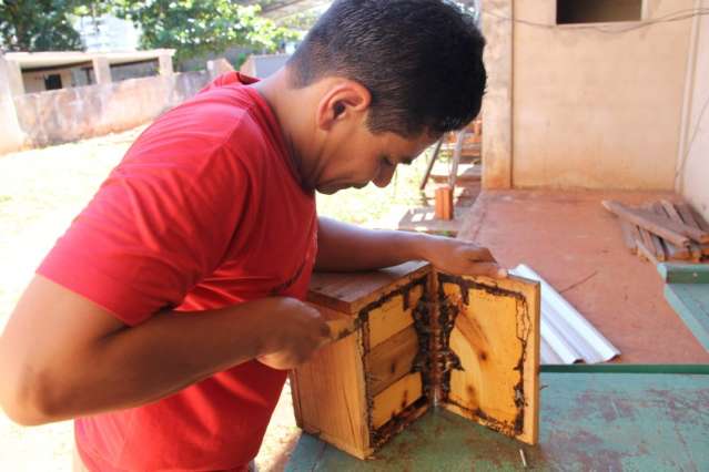 Bombeiros e apicultores trabalham juntos para preservar abelhas 