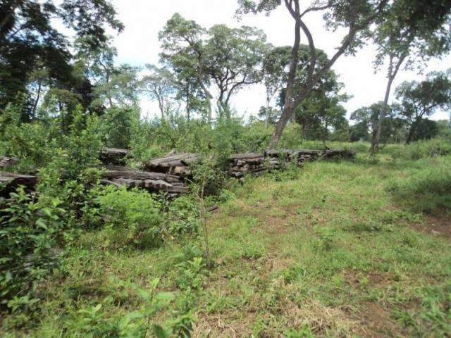 Fazendeiro &eacute; multado em R$ 45 mil por explorar madeira ilegalmente