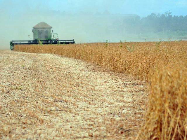 Abertura nacional da colheita de soja come&ccedil;a hoje em fazenda de MS