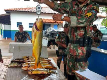 Multa mínima para quem capturar Dourado em rios será de R$ 2,7 mil 