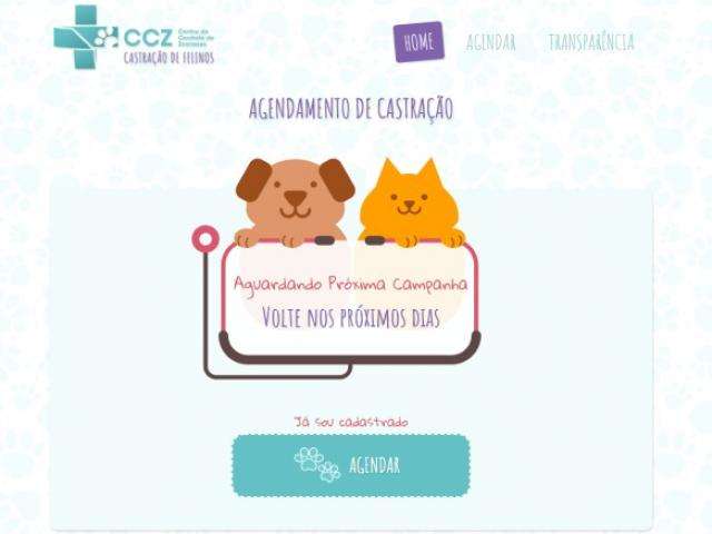 Vagas para castra&ccedil;&atilde;o de gatos gratuita se esgotam em 9 minutos