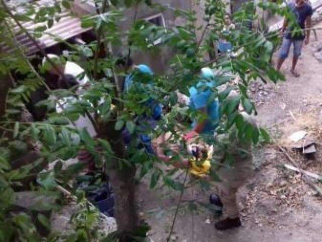 Idoso &eacute; socorrido ap&oacute;s cair de ribanceira 