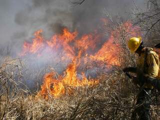  Ibama tenta conter inc&ecirc;ndio na reserva Kadw&eacute;u em Porto Murtinho