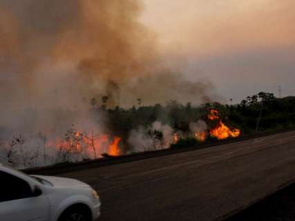 Focos de fogo no Pantanal em outubro são 2.109% maiores que em 2018