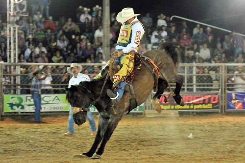 TOP TOMBOS em Cavalos - Rodeio de Colorado 2018 